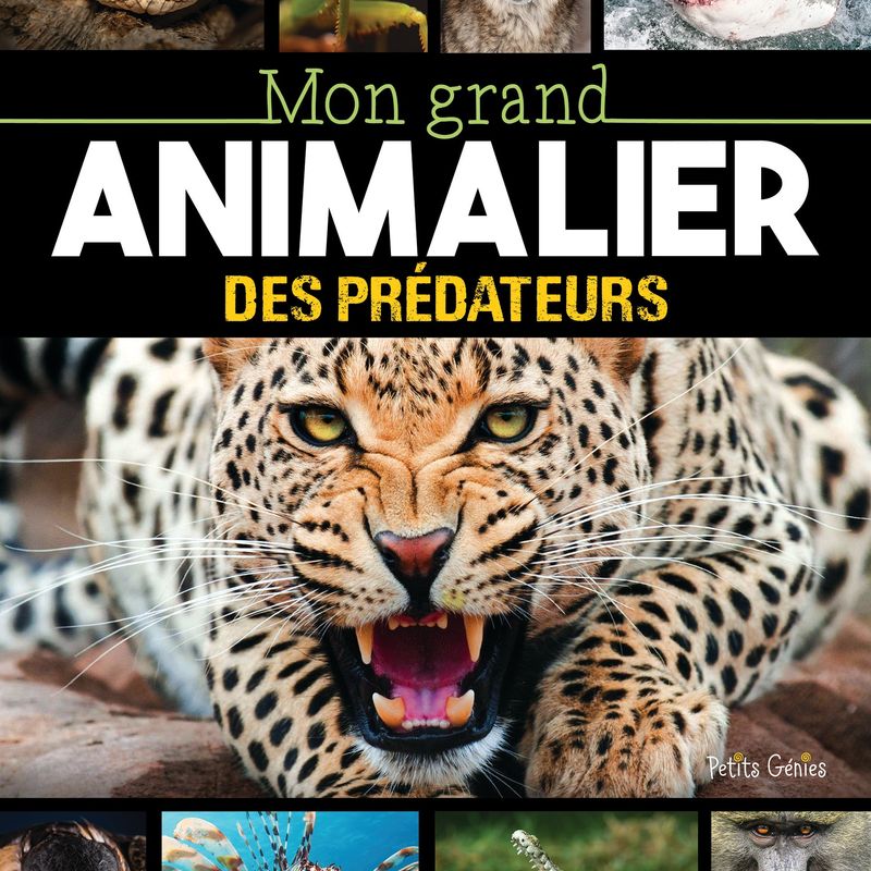 Mon grand animalier des prédateurs