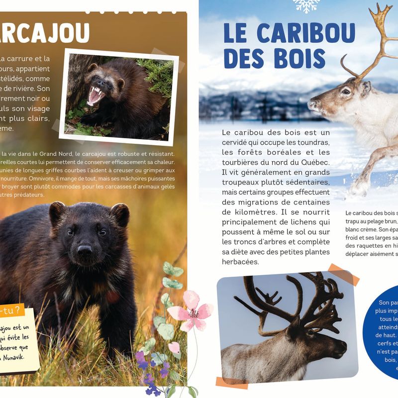 100 animaux du Québec