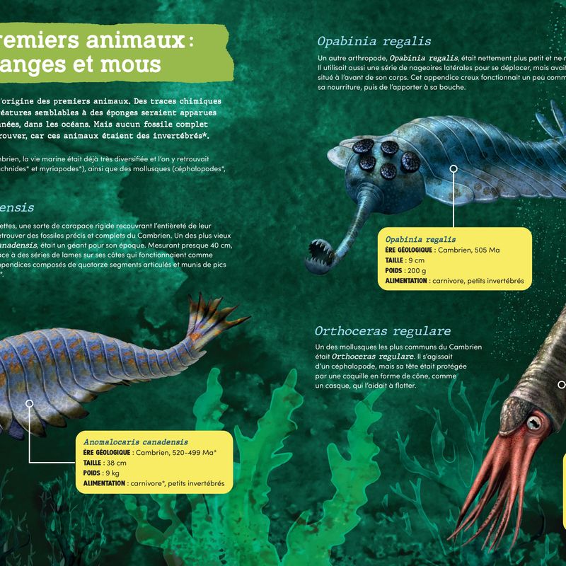 L'évolution des animaux préhistoriques