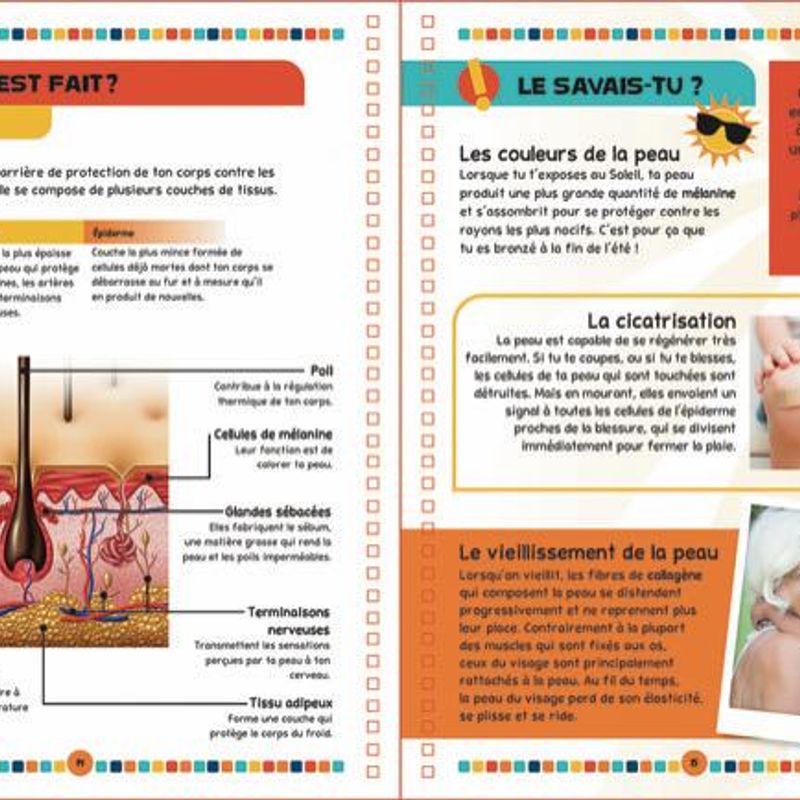Le livre du corps humain