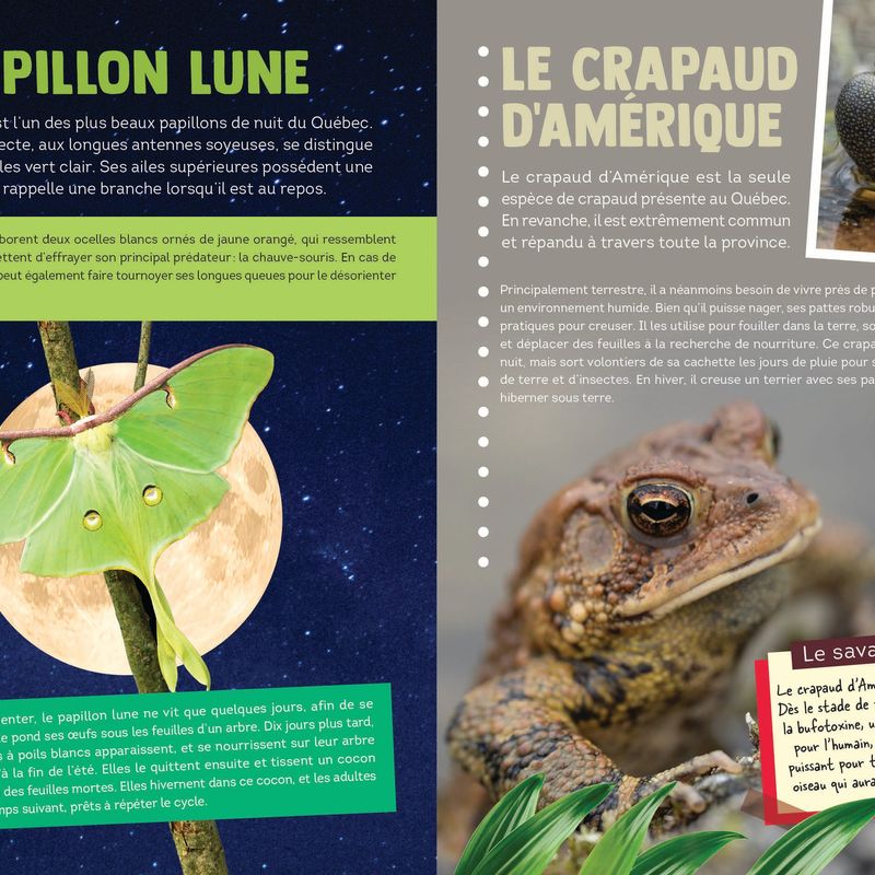 100 animaux du Québec