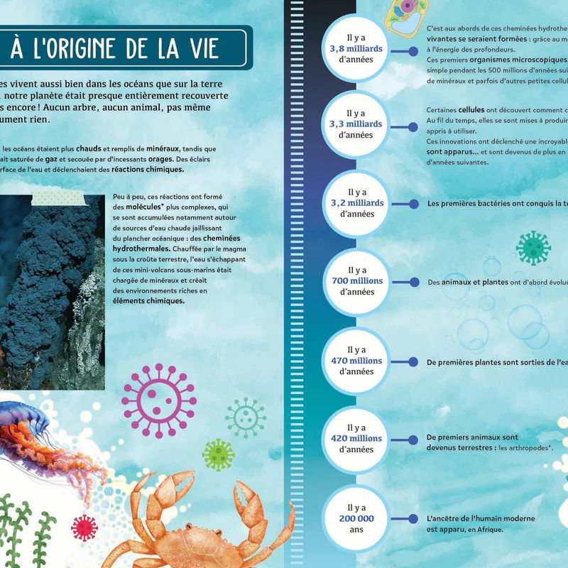 Mon fascinant océan