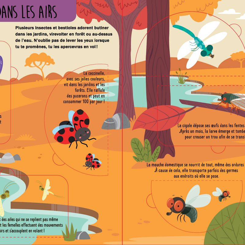 Soulève et découvre : Au pays des insectes et bestioles