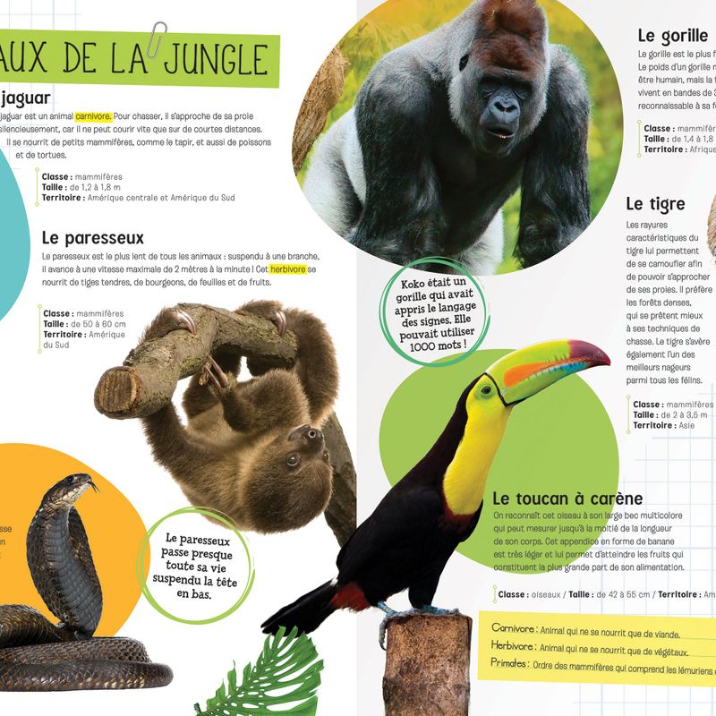 Le monde des animaux