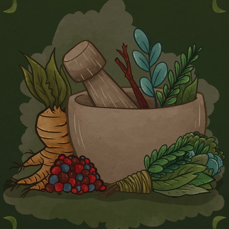 NOUVEAU - L'Académie des Petits Sorciers - Enseignement magique à distance