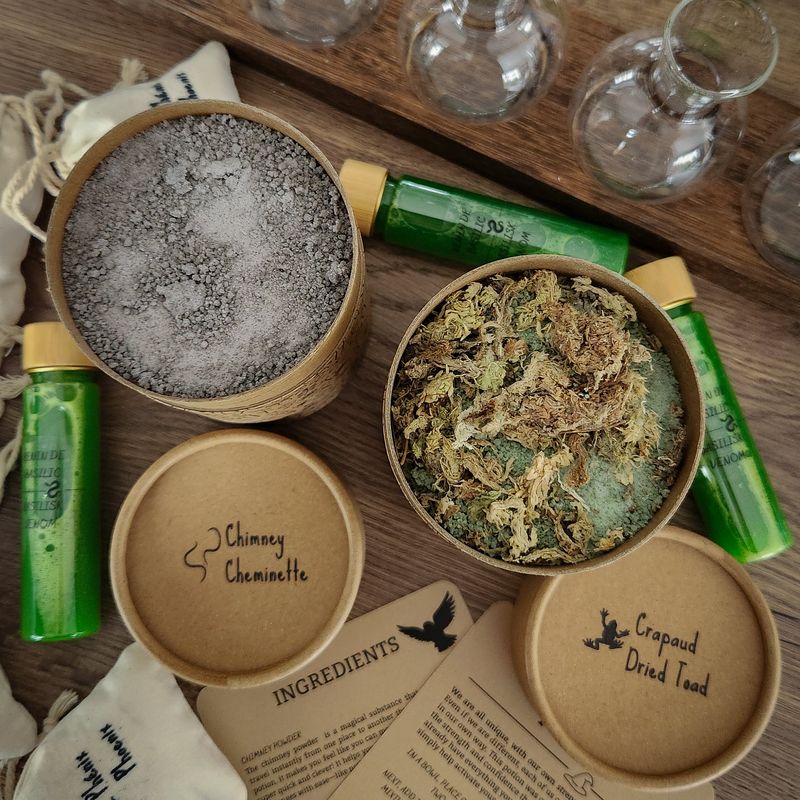 Potion École de Sorcellerie - Coffret de Groupe