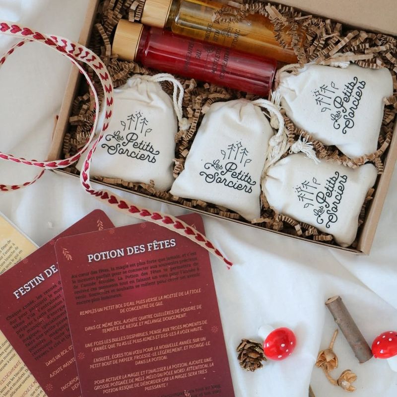 🦌Magie de Noël - Édition Limitée