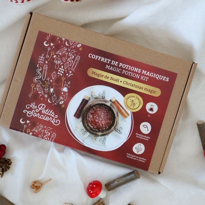 🦌Magie de Noël - Édition Limitée