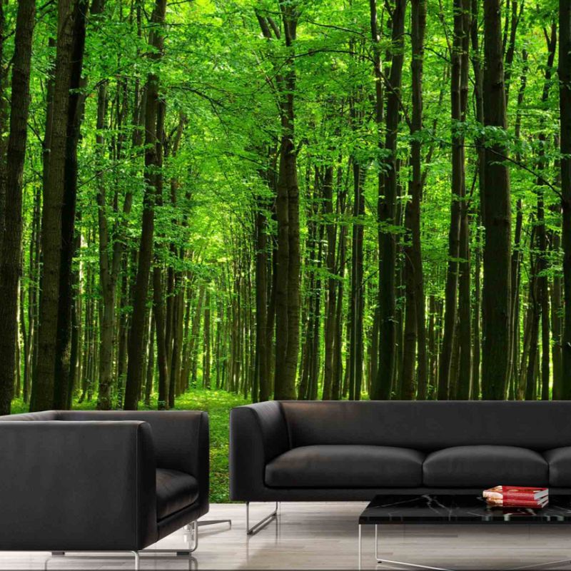 Murale Balade En Forêt