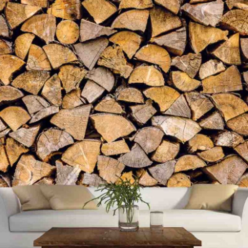 Murale Corde De Bois