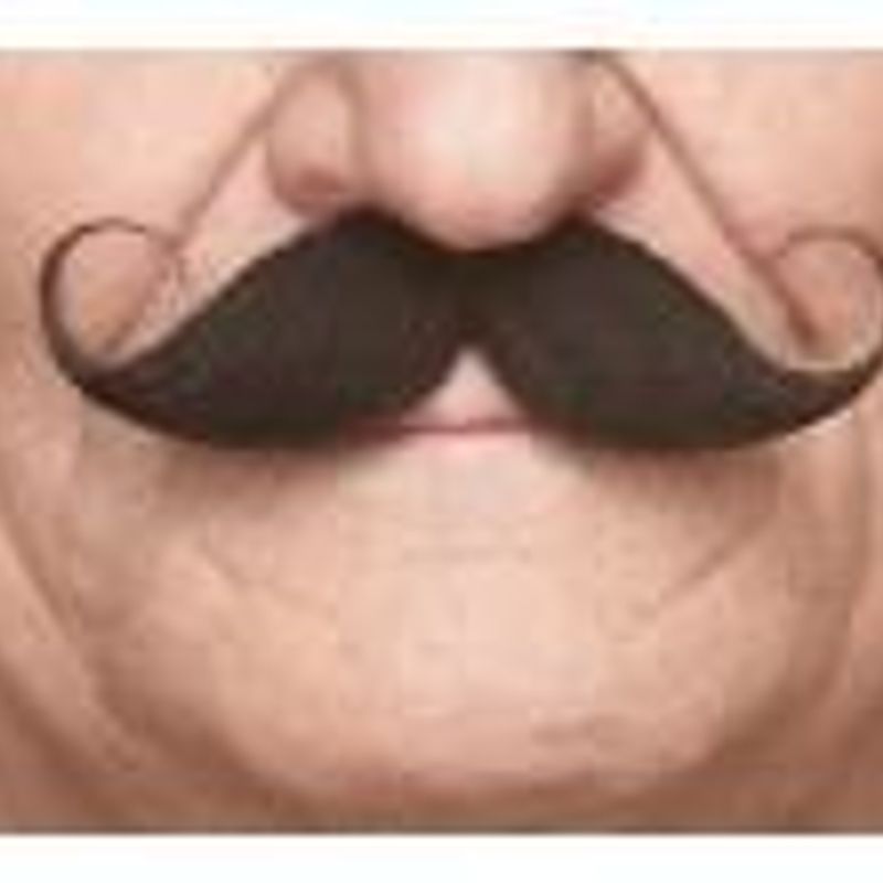 Fausse moustache autocollante - Noir - Style 3