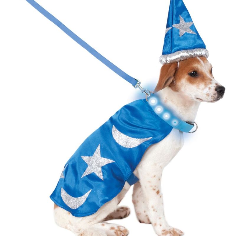 Costume de magicien pour chien