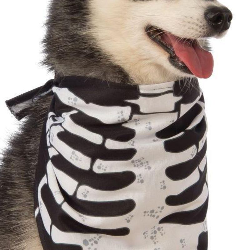 Bandana squelette pour chien