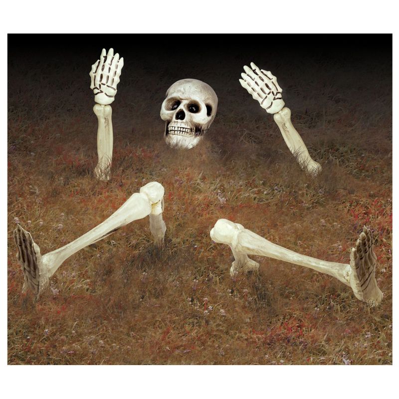 Squelette de jardin