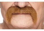 Moustache - Brun