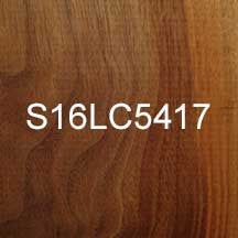 S16LC5417