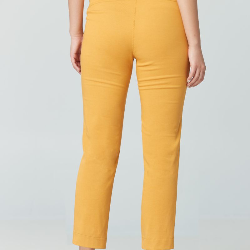 High waisted pant