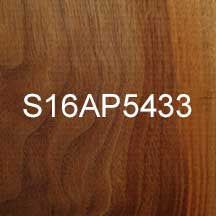 S16AP5433