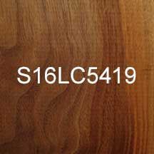 S16LC5419