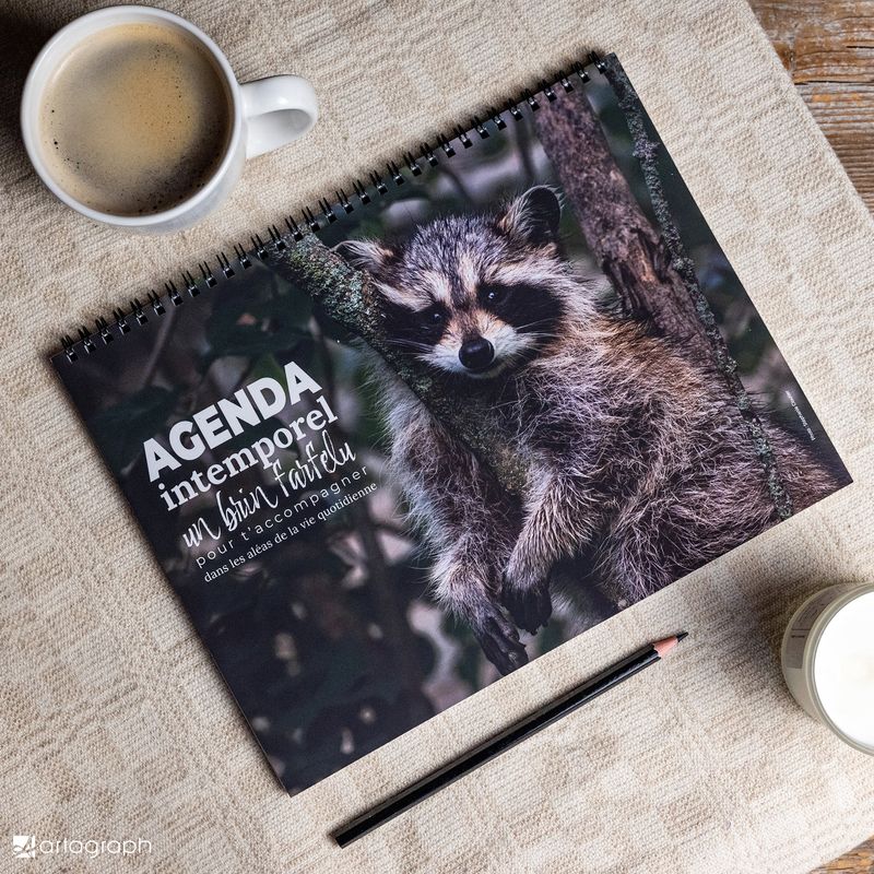 Agenda intemporel RATON-LAVEUR