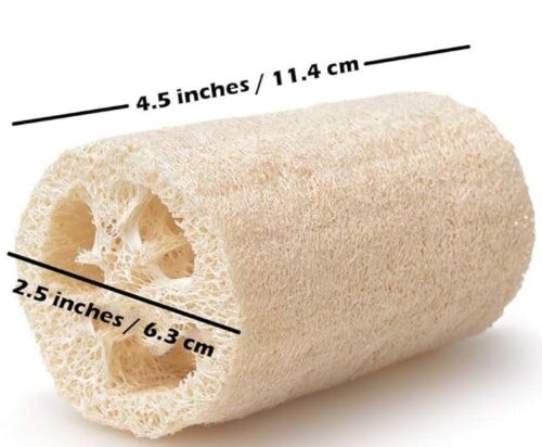 Petite éponge Loofah naturelle