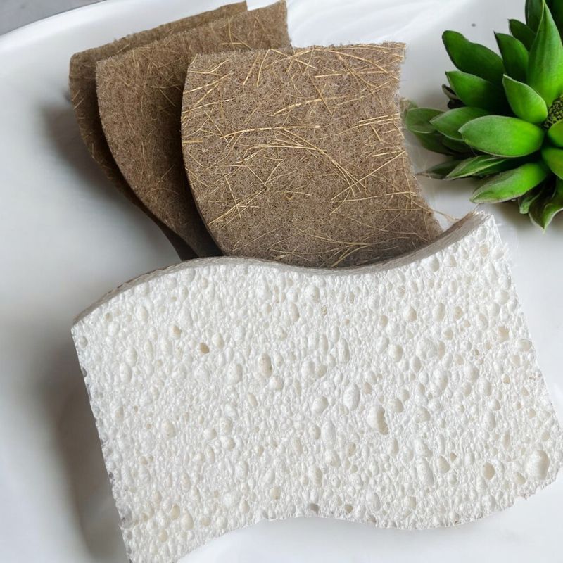Éponge naturelle en noix de coco