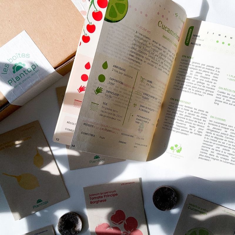 Coffret de jardinage "Carnaval de Saveurs" : Potager original et coloré