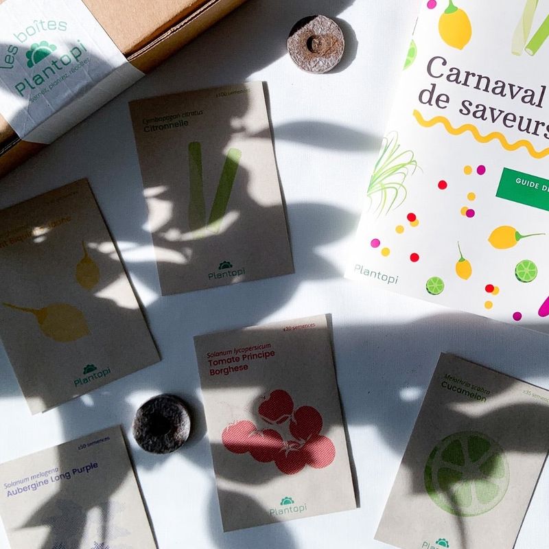 Coffret de jardinage "Carnaval de Saveurs" : Potager original et coloré