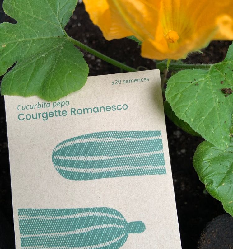 Coffret de jardinage "La dolce vita!" : Potager de légumes italiens