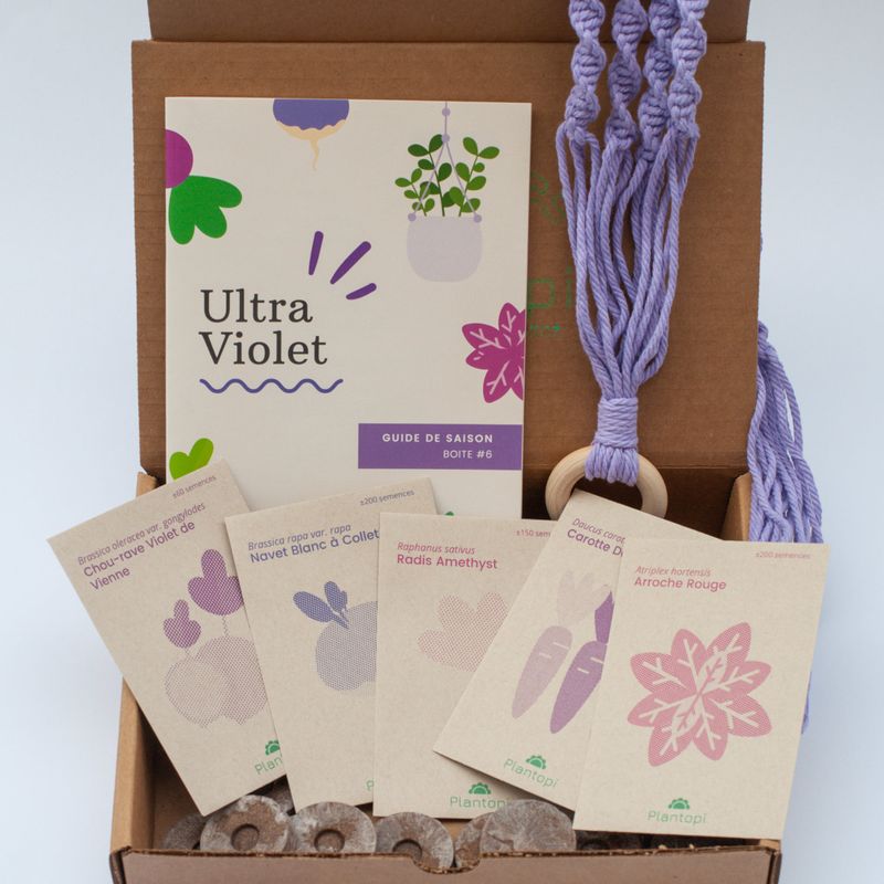 Coffret de jardinage "Ultra Violet" : Sélection Estivale aux teintes ultra-violettes