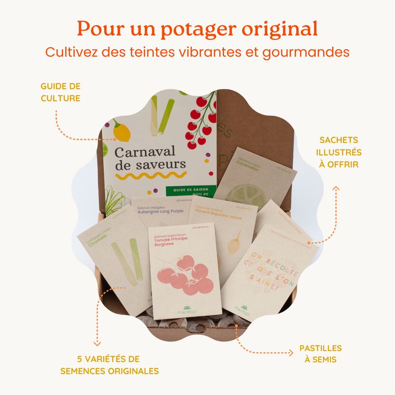 Coffret de jardinage "Carnaval de Saveurs" : Potager original et coloré