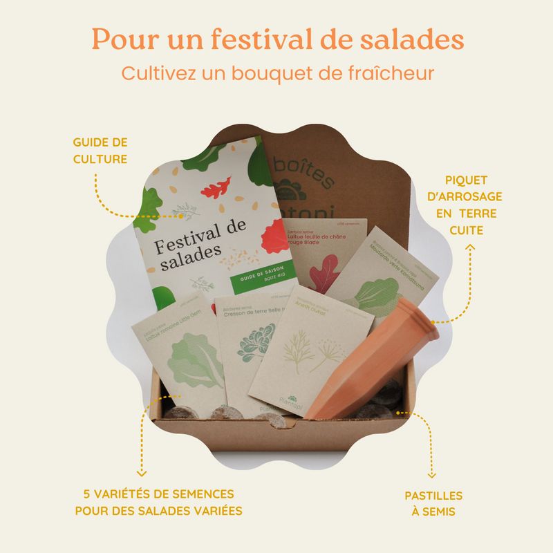 Coffret de jardinage "Festival de salades"