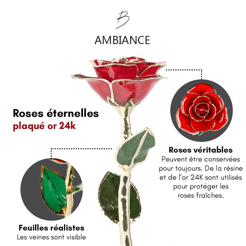 Rose éternelle Jaune plaquée or 24K