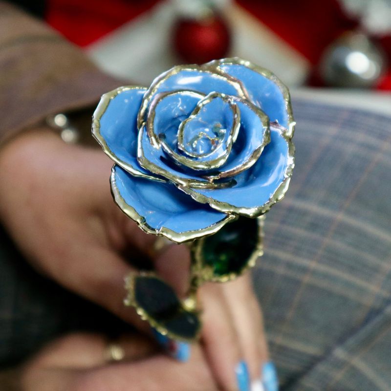 Rose éternelle Bleue plaquée or 24K