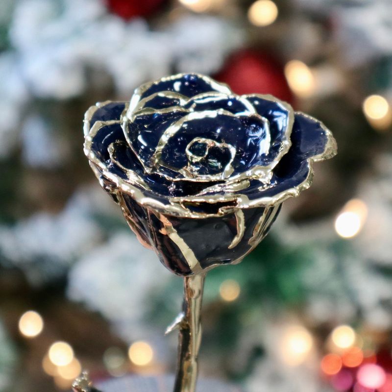 Rose éternelle Marine plaquée or 24K