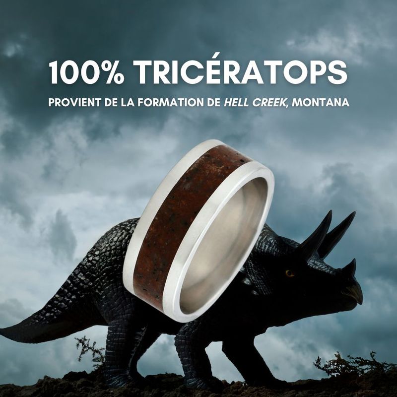 Bague Triceratops du Montana et argent sterling ou or 14K - 18K