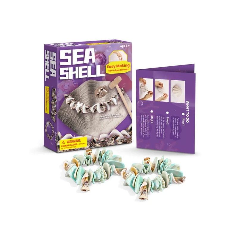 Ensemble découverte de creusement de pierres Coquillage