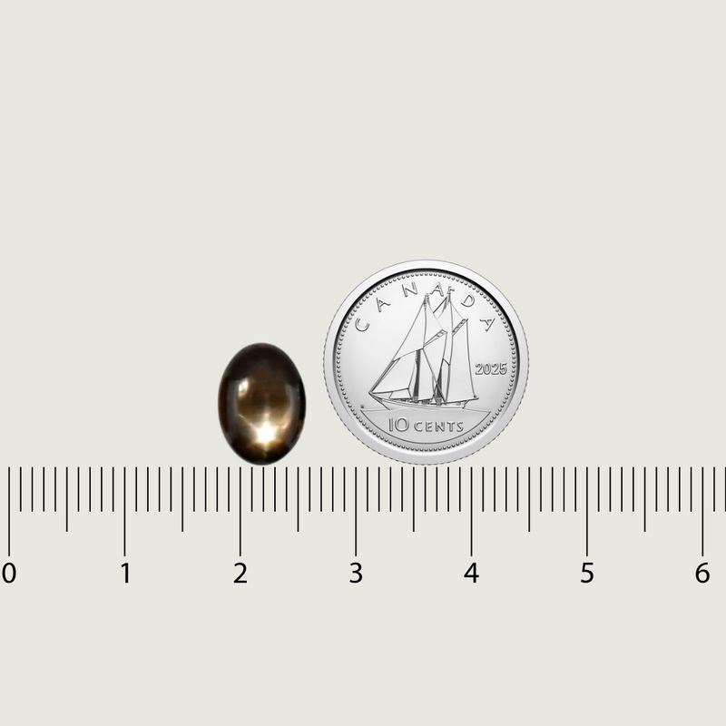 Saphir étoilé noir Naturel Oval Cabochon 7.8x10.5 mm
