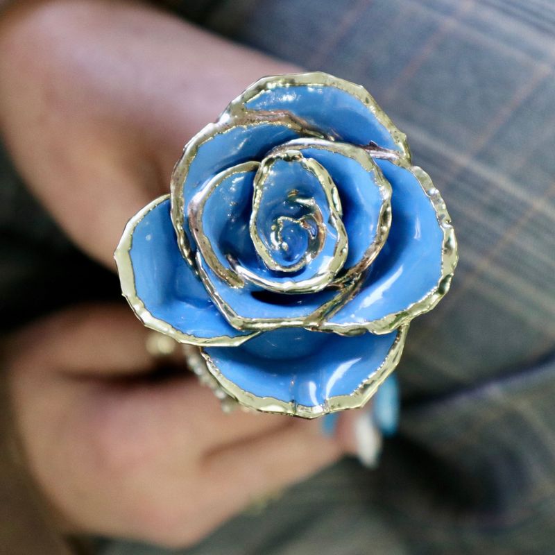 Rose éternelle Bleue plaquée or 24K