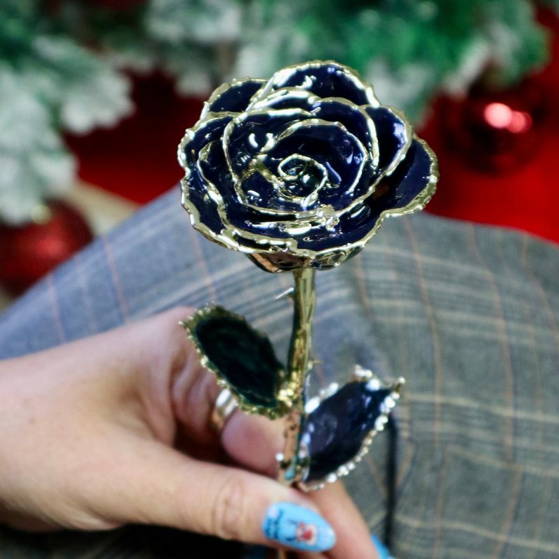 Rose éternelle Marine plaquée or 24K