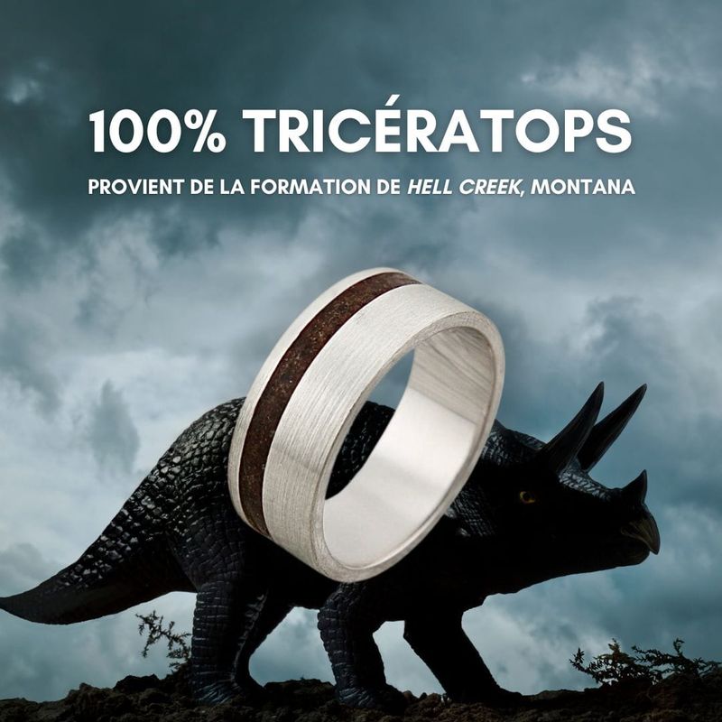 Bague Triceratops du Montana et argent sterling ou or 14K - 18K